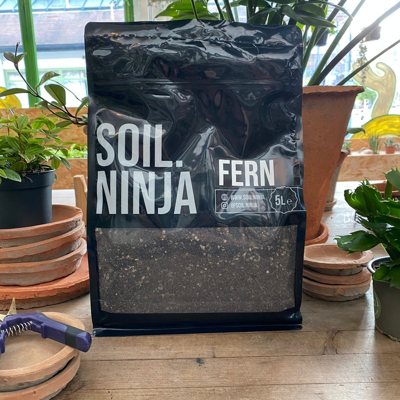 Fern Soil Mix|5 Litres