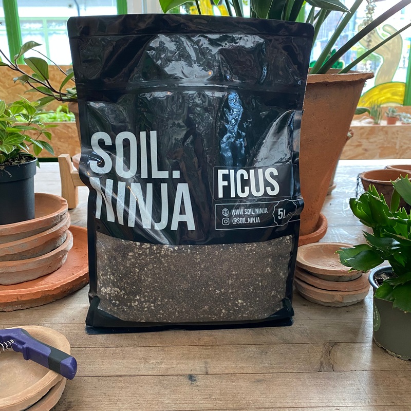 Ficus Soil Mix|5 Litres