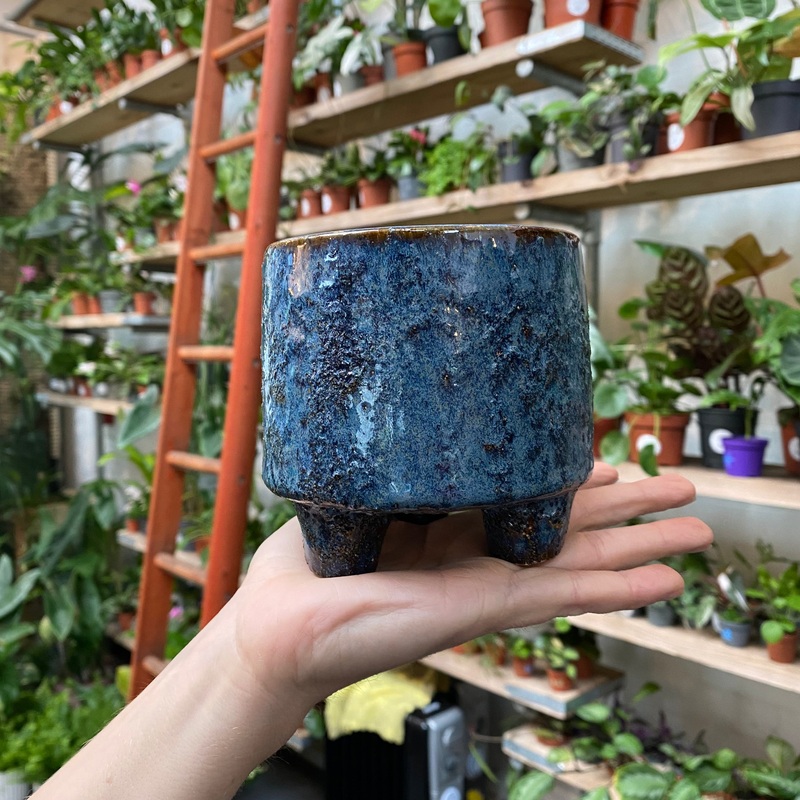 Pig Pot – Blue|9cm