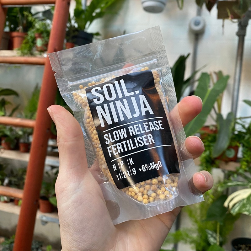 Slow Release Fertiliser|100ml