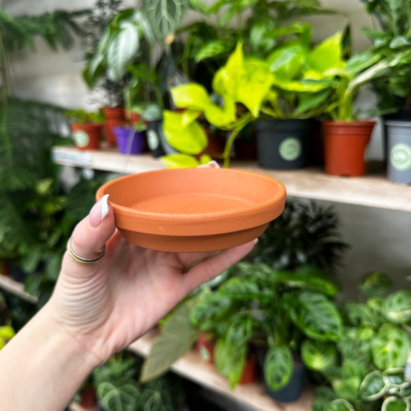Terracotta Saucers – Plain|9cm|11cm