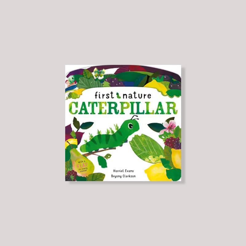 Caterpillar by Harriet Evans & Bryony Clarkson
