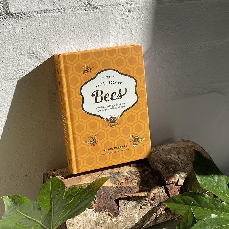 The Little Book of Bees by Hilary Kearney