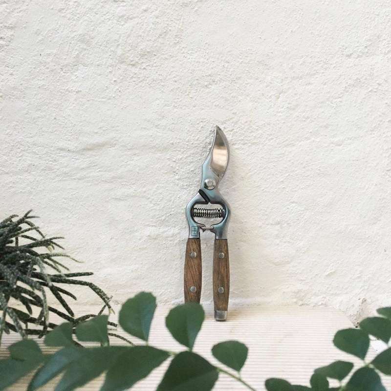 Wood handled Secateurs