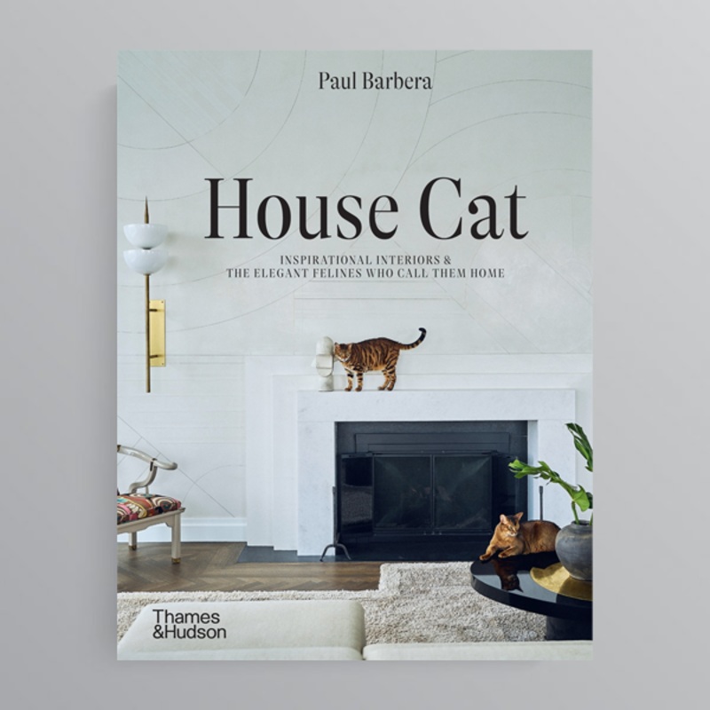 House Cat by by Paul Barbera