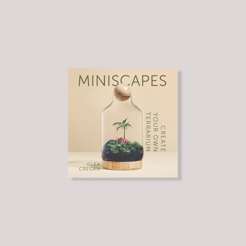 Miniscapes by Clea Cregan