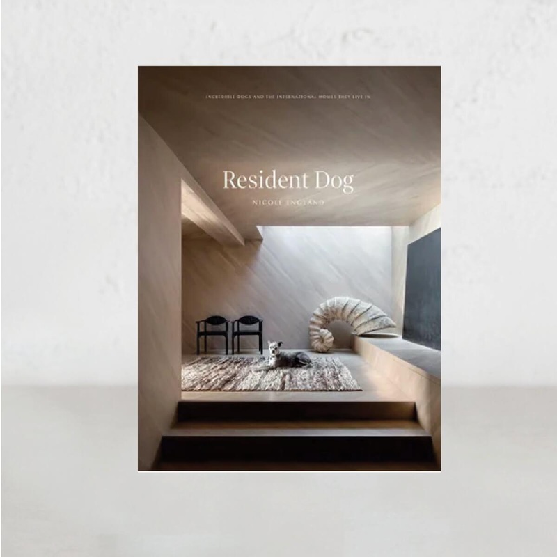 Resident Dog Volume 2 by Nicole England