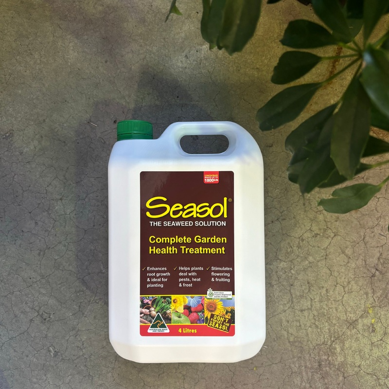 Seasol Concentrate Plant Food 4L