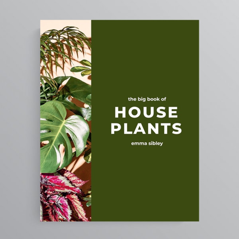 The Big Book of House Plants by Emma Sibley