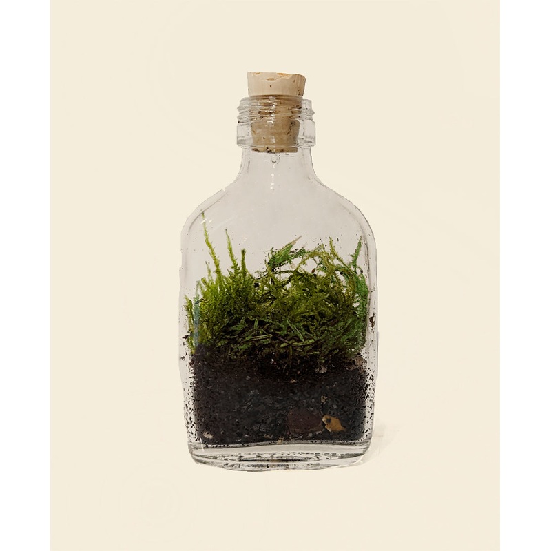 Bottle Mossarium