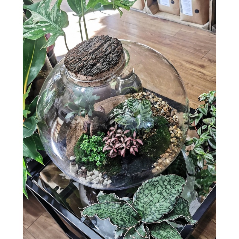 Moon terrarium