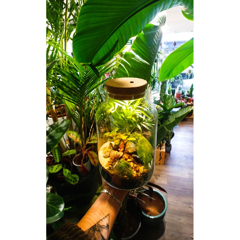 Terrarium with light LED