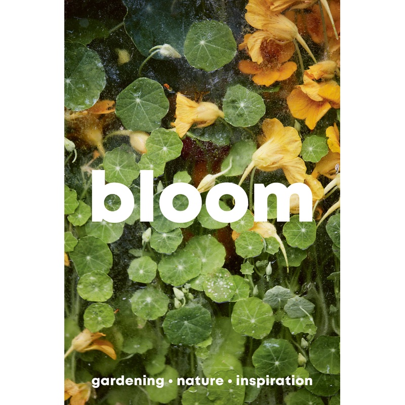 Bloom Magazine Issue 15
