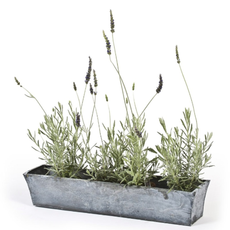 Zinc Windowsill Planter|23.75 L 5.25 W 4.5 H