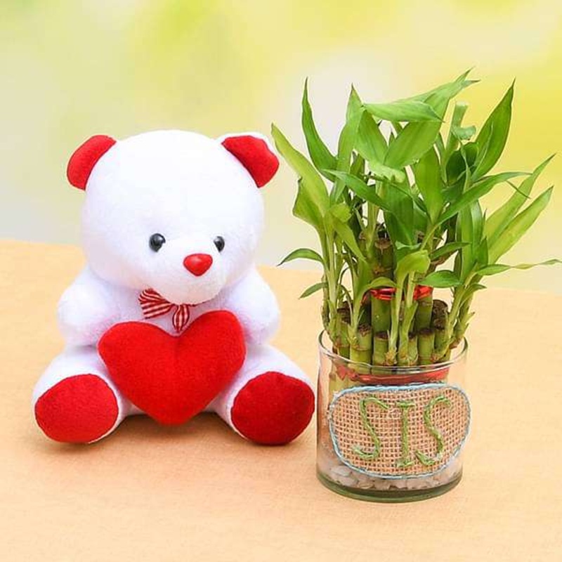 Make Her Life Colorful with 2 Layer Lucky Bamboo Plant and Cute Teddy