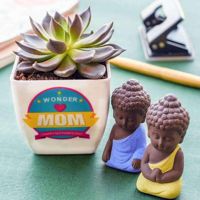Rose Shaped Echeveria with Meditating Buddha for Mom