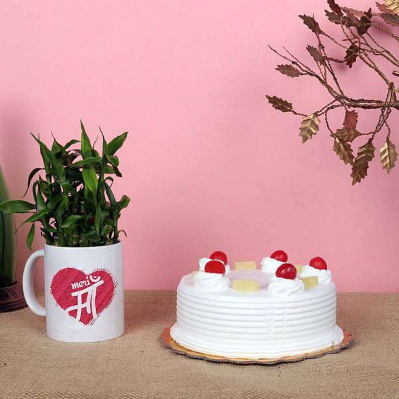Treat Your Mom with a Cake and 2 Layer Lucky Bamboo in a Mug
