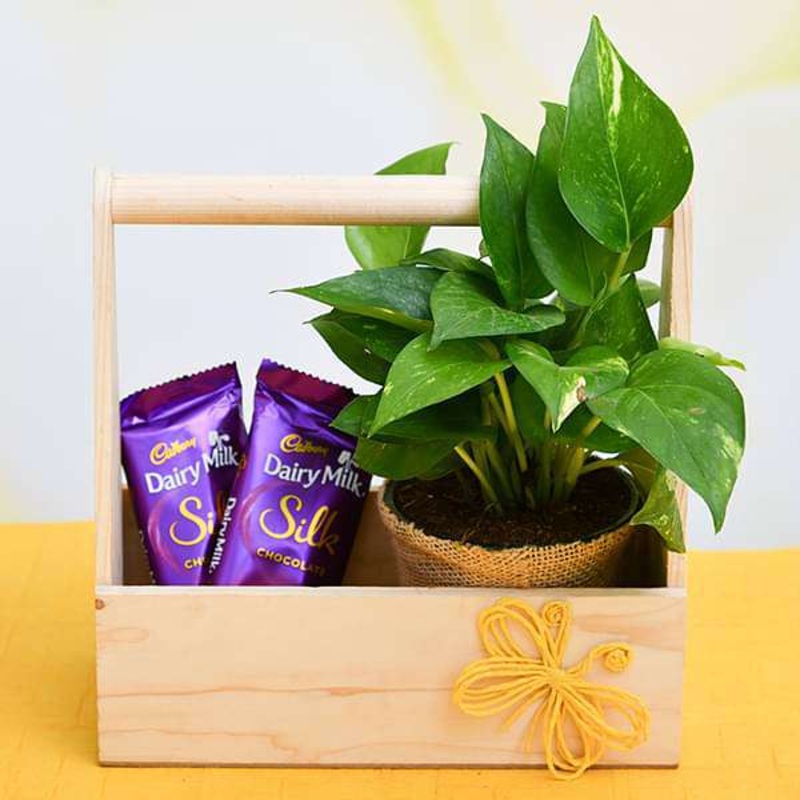 Wooden Basket of Love with Money Plant and Chocolate