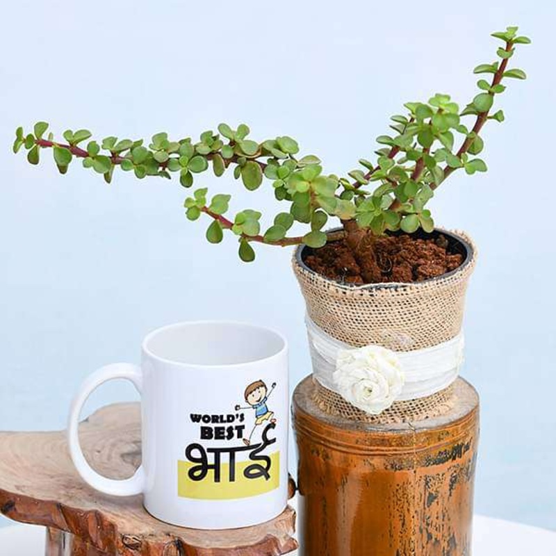 Best Jade Plant with Mug for Worlds Best Brother