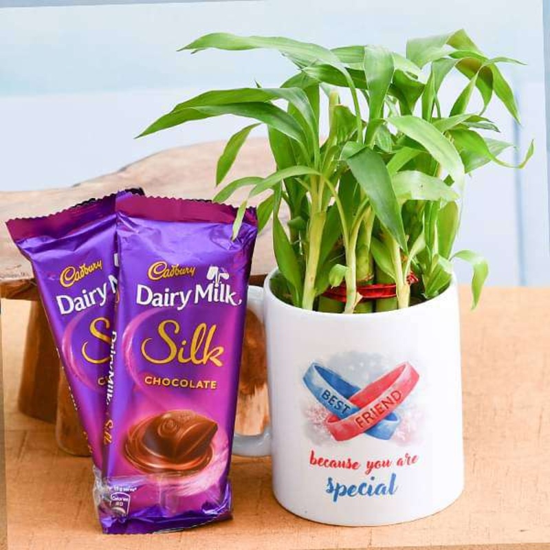 Best wishes for Best Buddy with 2 Layer Lucky Bamboo and Chocolates