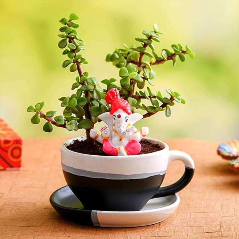 Wish Happy Diwali with Jade plant in Ceramic pot and Lord Ganesha Idol
