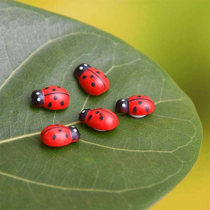 Ladybug plastic miniature garden toys – 5 Pieces