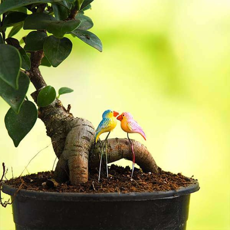 Pin Birds plastic miniature garden toys (Random Color) – 1 Pair