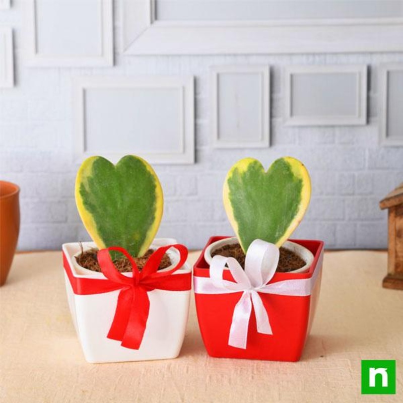 Valentine’s Special 2 Loving Hearts