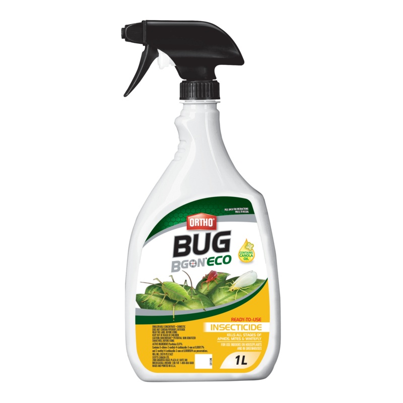 ORTHO BUG BGON ECO INSECTICIDE