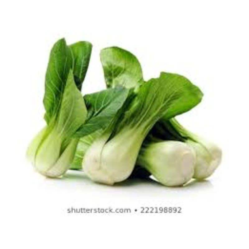 PAK CHOI – 4 plants per box
