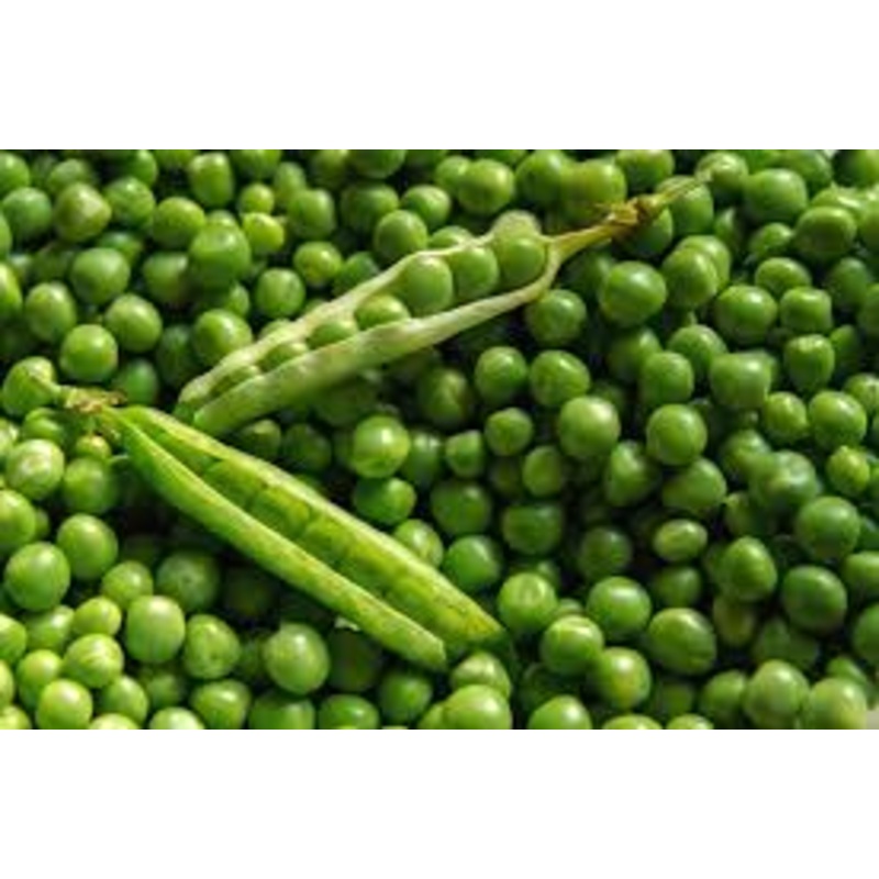 PEAS – REGULAR – 4 POT