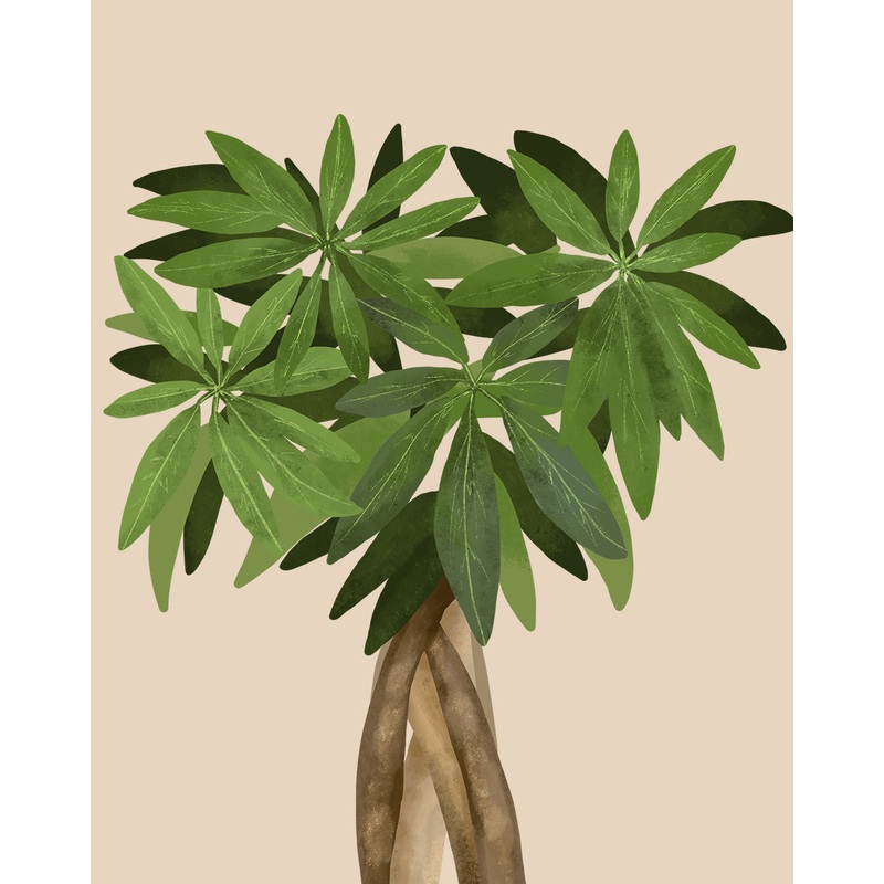 Money Tree
