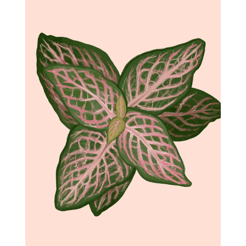 Nerve Plant