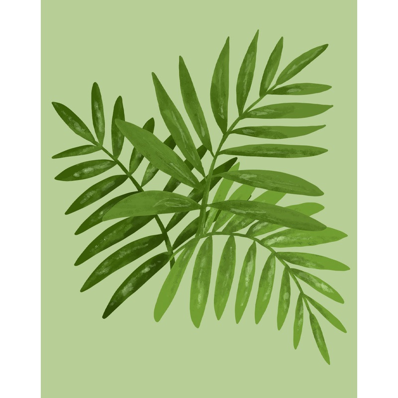 Parlor Palm