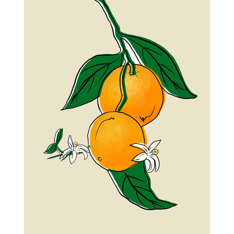 Calamondin