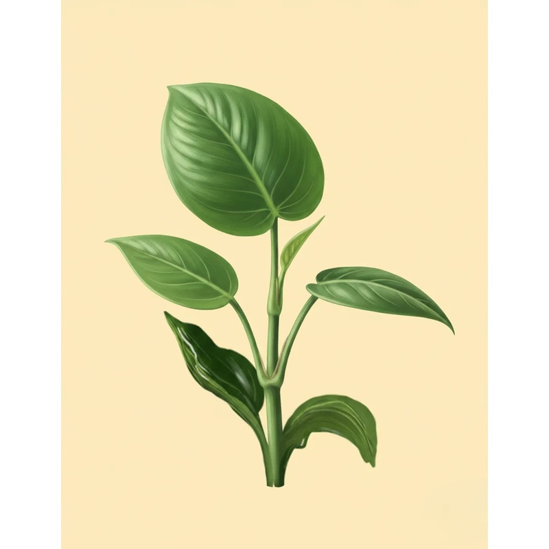 Dancing Plant