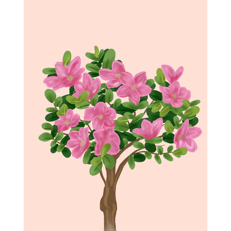 Indoor Azalea