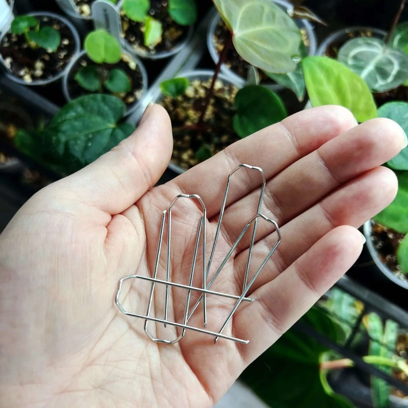 Metal Pins (Large) – 10 pcs