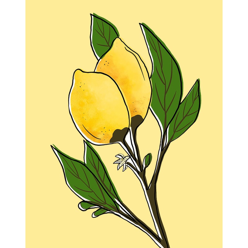 Meyer Lemon Tree