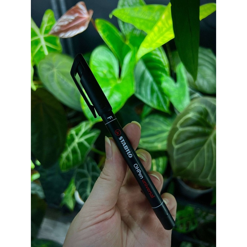 Permanent Felt Tip Pen