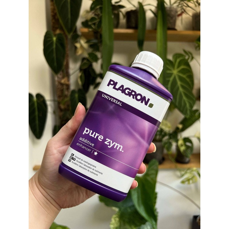 Plagron Pure Zym