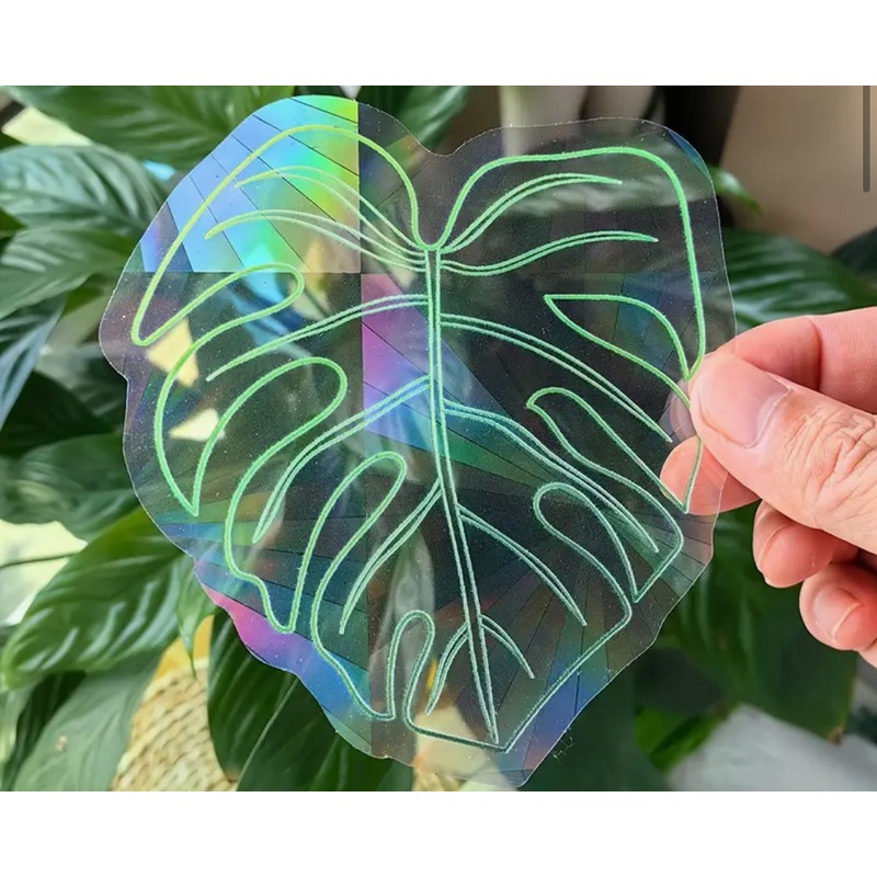 Monstera Suncatcher Vinyl Sticker