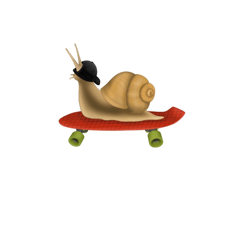 Snail on a skateboard