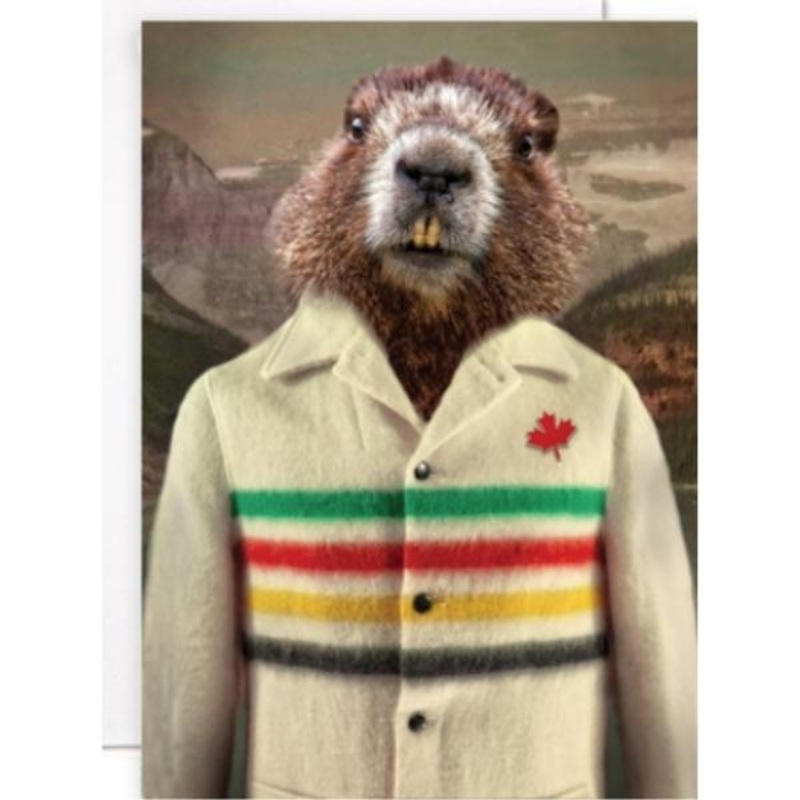 Groundhog Bay Card
