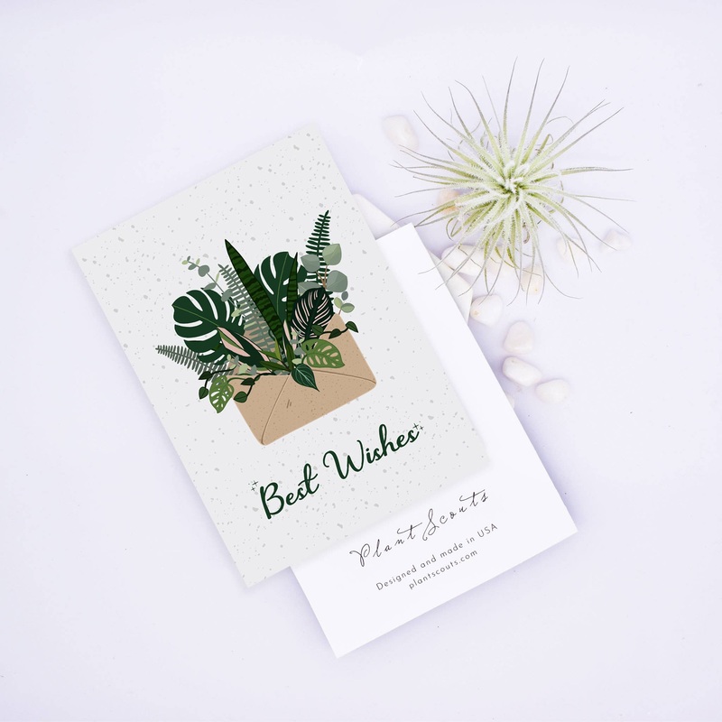 Best Wishes Holiday Card – Botanical Surprise