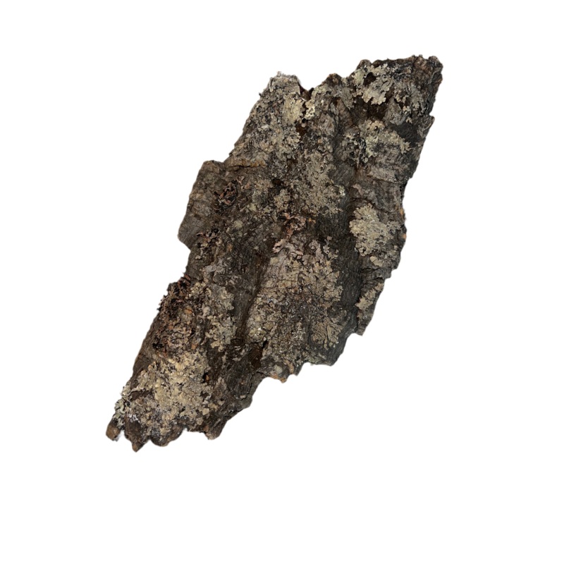 Medium Cork Bark Flat 11-15