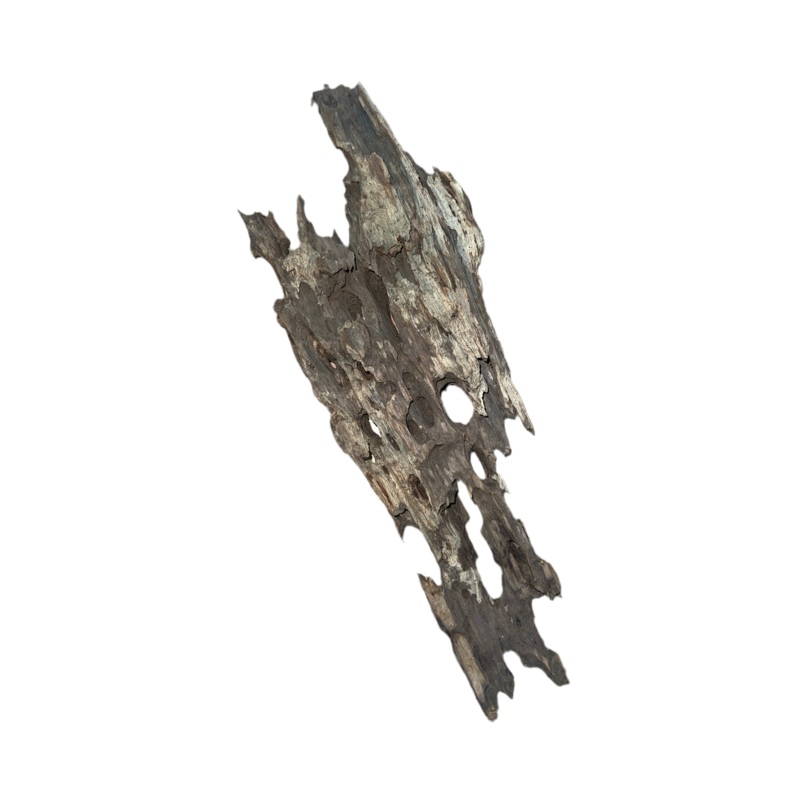 Dragon Bone Wood