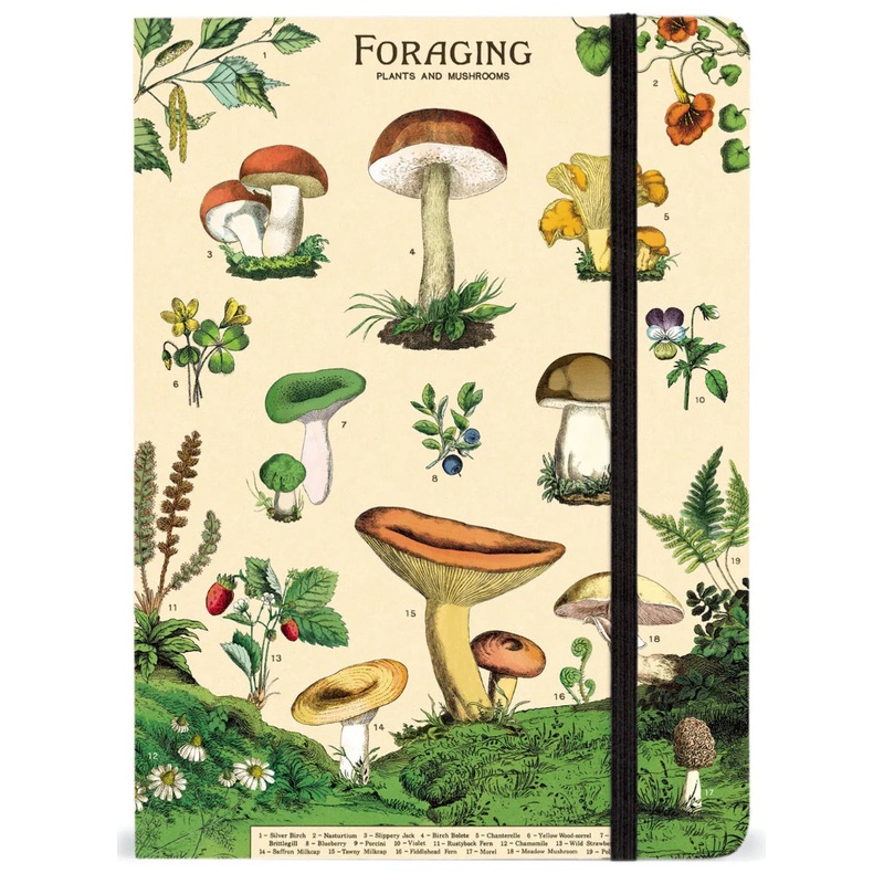 Foraging Large Notebook w/ Elastic Closure