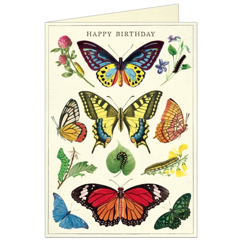 Happy Birthday Butterflies Single Greeting Card/Envelope