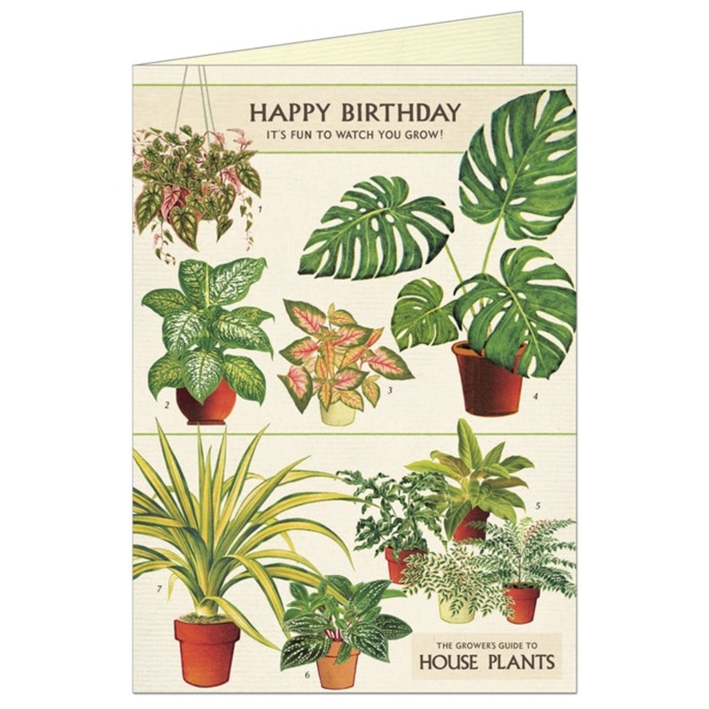 Happy Birthday Houseplants Single Greeting Card/Envelope